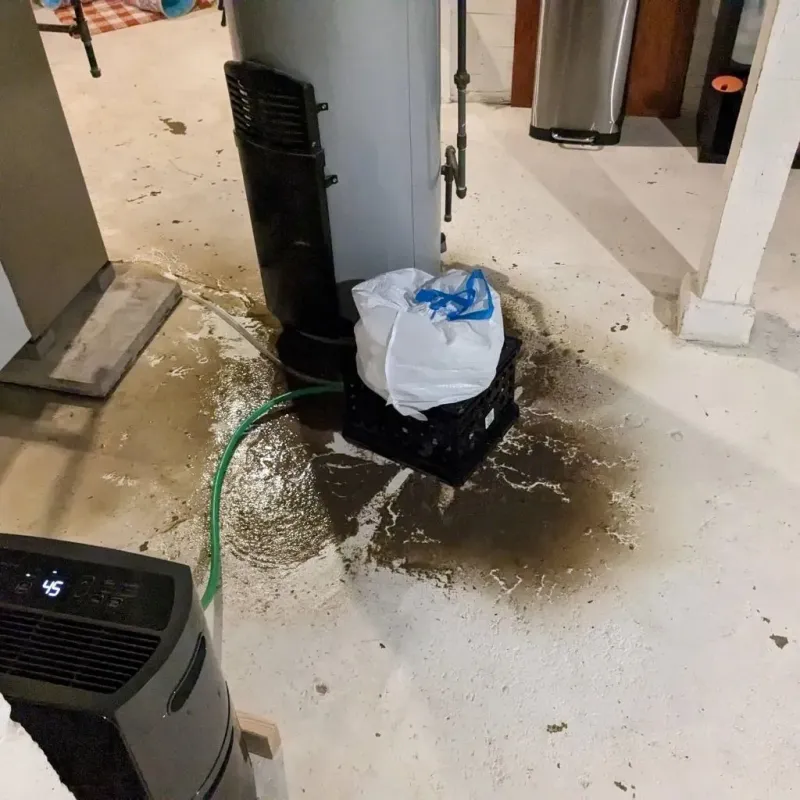 Sewage Backup Cleanup Service in Liberty, TX